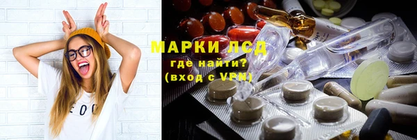 PSILOCYBIN Няндома