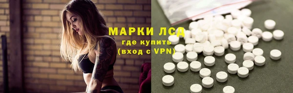PSILOCYBIN Няндома