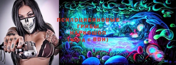 PSILOCYBIN Няндома